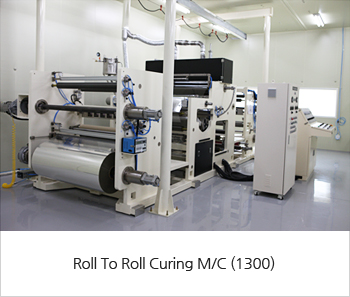 Roll To Roll Curing M/C (1300)